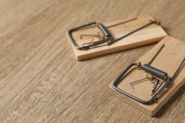 Two spring-loaded bar mousetraps on floor, closeup. Space for text