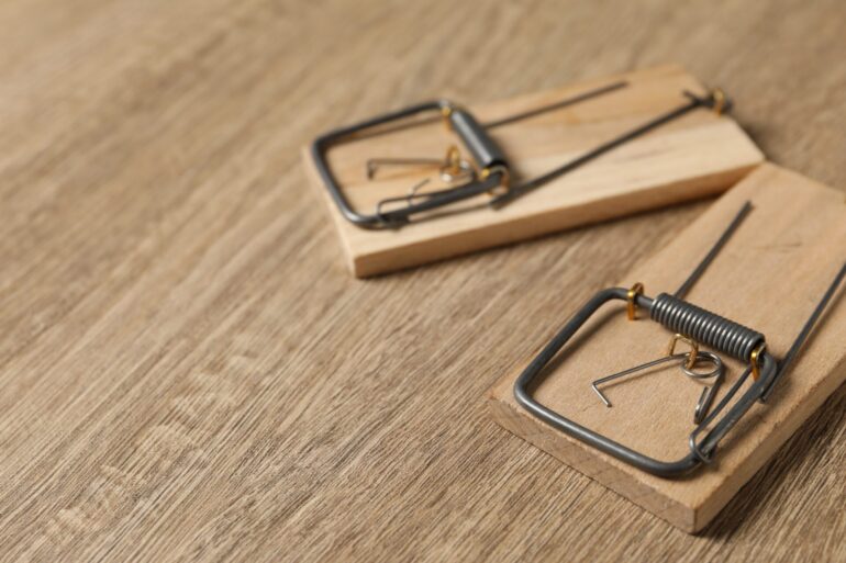 Two spring-loaded bar mousetraps on floor, closeup. Space for text